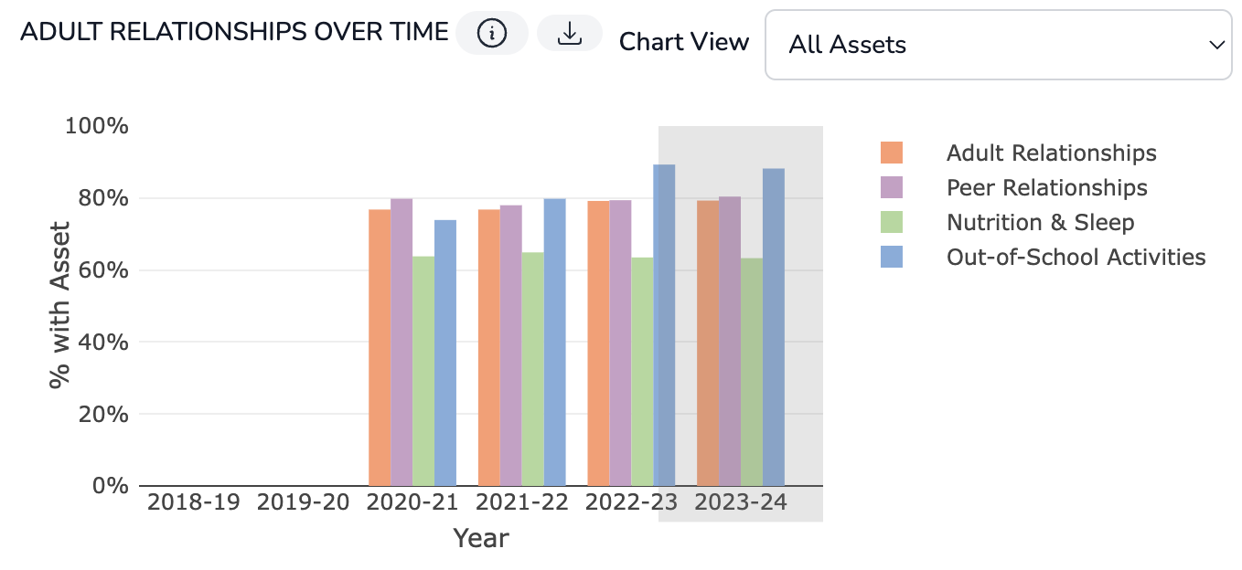 Assets Index over time